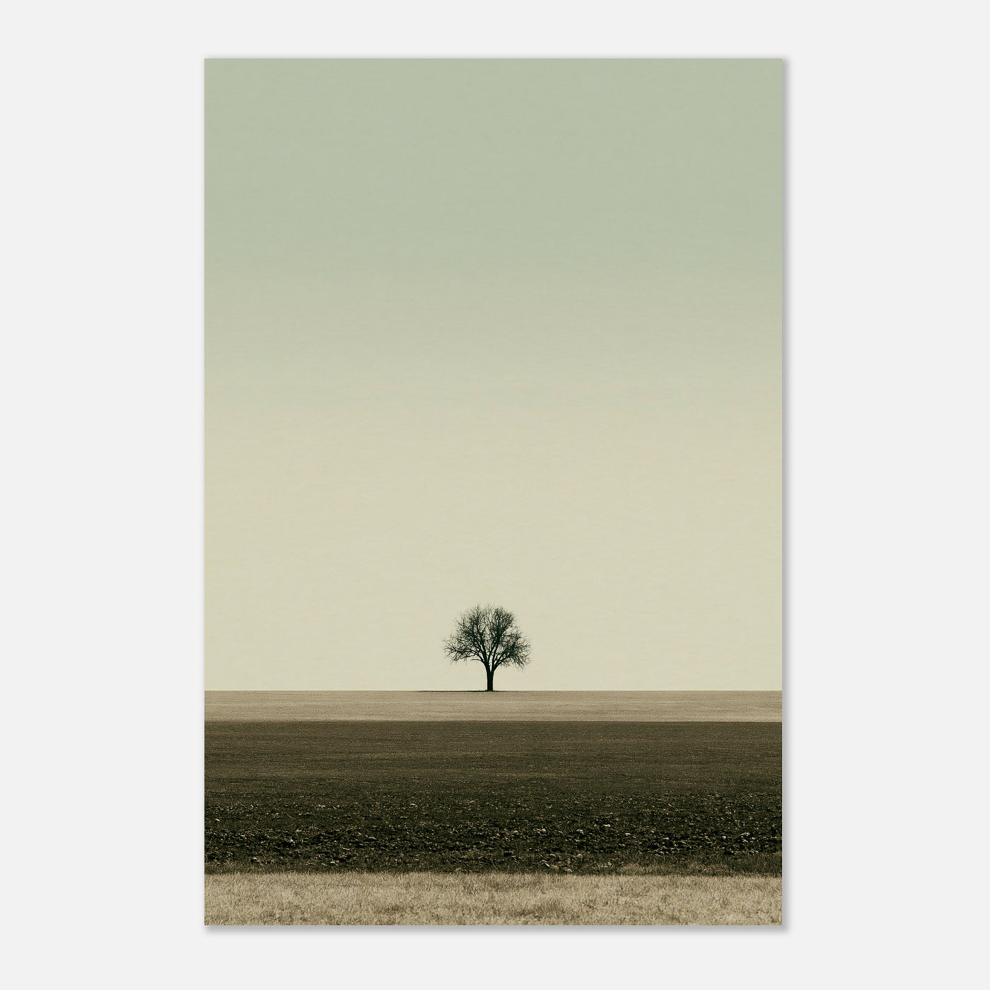 lone tree