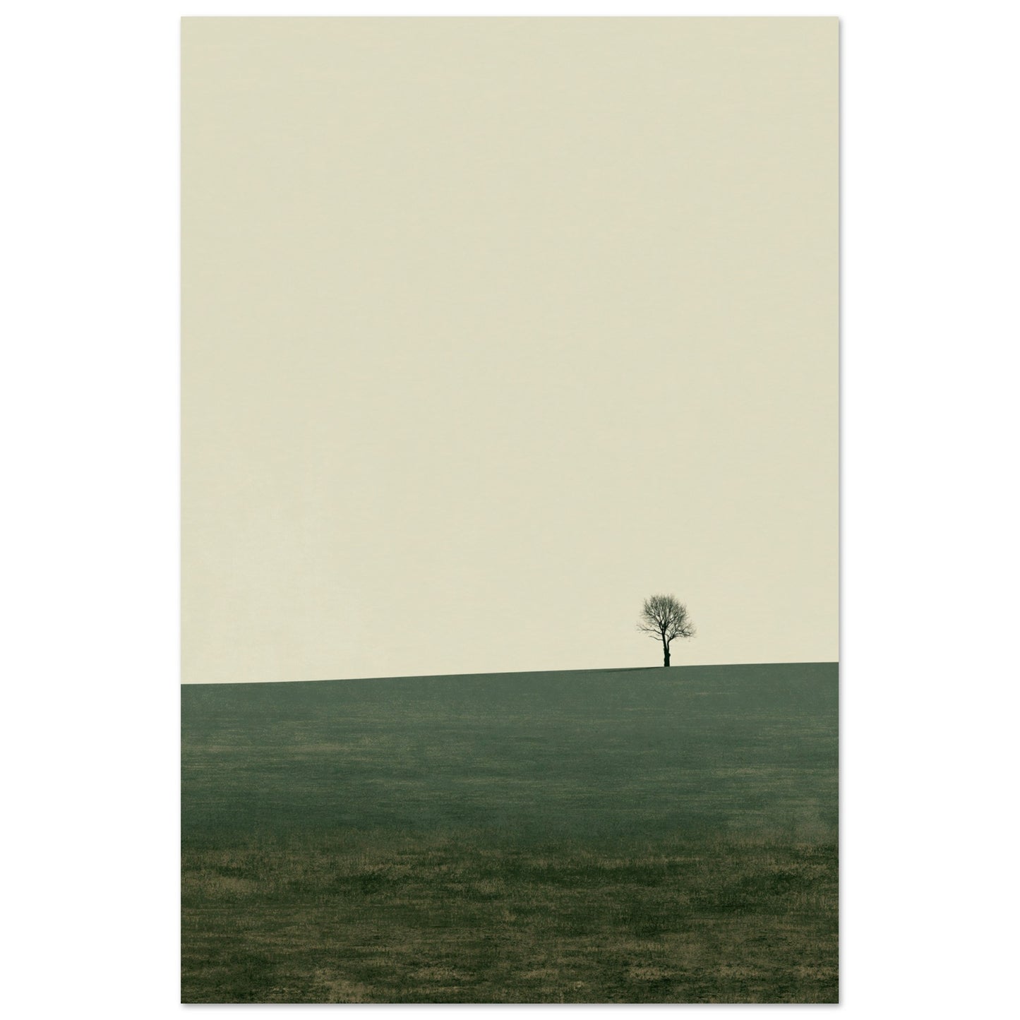 cc90b140-e3d8-496b-b3f6-e6a6d4da120c